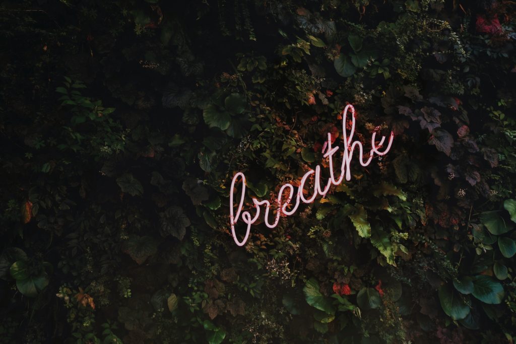 Image shows what looks like a wall with bushes and vines across it. In the middle a neon sign reads 'breathe'