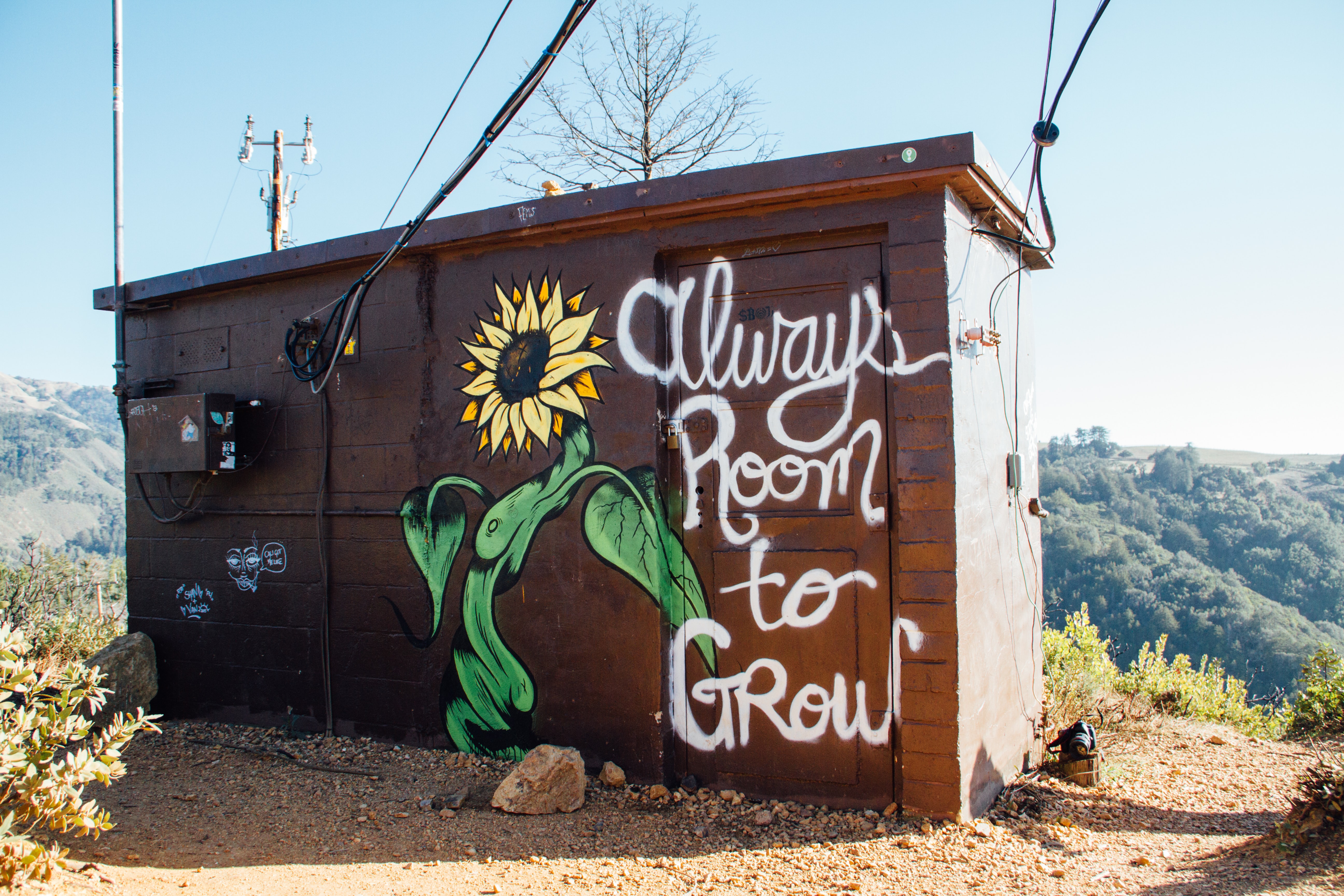 Building with painted graffiti of a sunflower with white writing saying 'always room to grow'