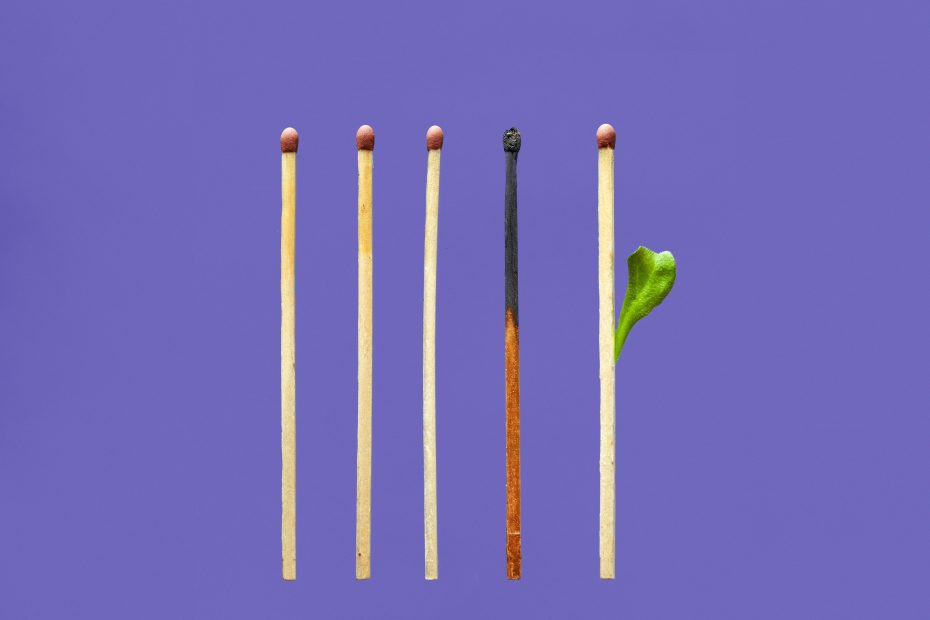 five matches are shown. three are normal, one is burned out and the last one has a shoot growing from the side of it. purple background